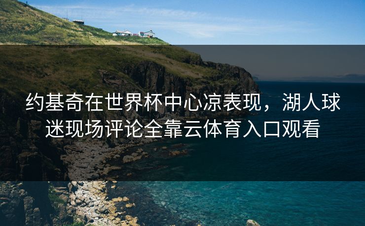 约基奇在世界杯中心凉表现，湖人球迷现场评论全靠云体育入口观看
